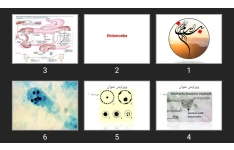 پاورپوینت Amoeba