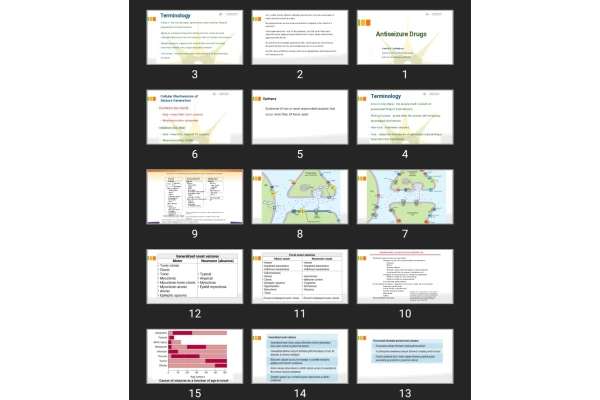 پاورپوینت Antiseizure Drugs