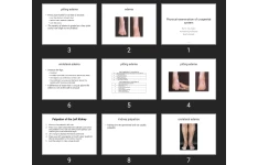 پاورپوینت Physical examination of urogenital system