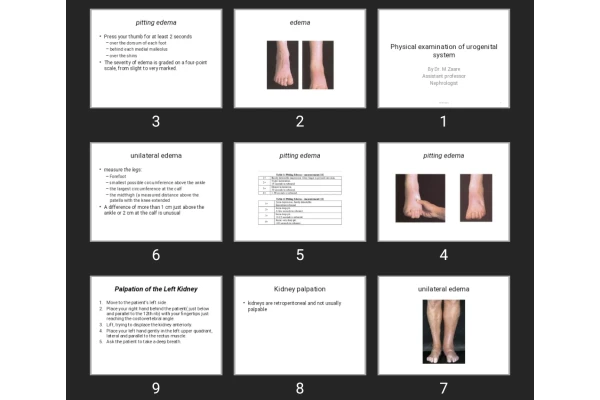 پاورپوینت Physical examination of urogenital system