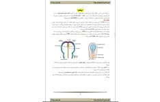 جزوه جنین شناسی، تشریح حواس ویژه