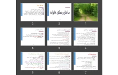 پاورپوینت ساختار و عملکرد خانواده