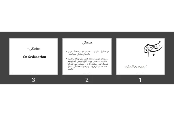 پاورپوینت هماهنگی Co Ordination