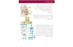 جزوه لنفوما