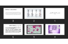 پاورپوینت بررسی لام های باکتریایی