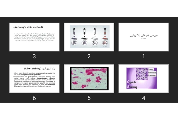 پاورپوینت بررسی لام های باکتریایی