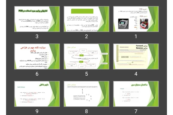 پاورپوینت اصول طراحی پرایمر
