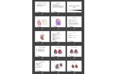 پاورپوینت نارسایی قلبی congestive Heart (CHF) Failure