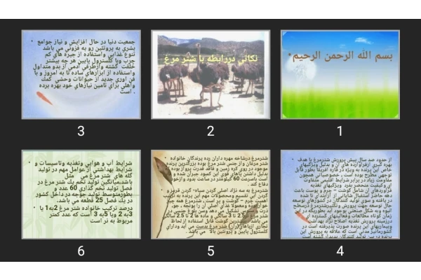 پاورپوینت نكاتی در رابطه با شتر مرغ