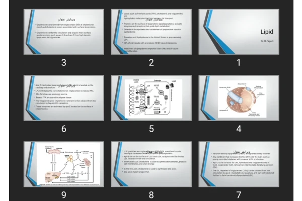 پاورپوینت Lipid