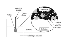 الکترودهای اصلاح شده با زئولیت، Zeolite Modified Electrodes