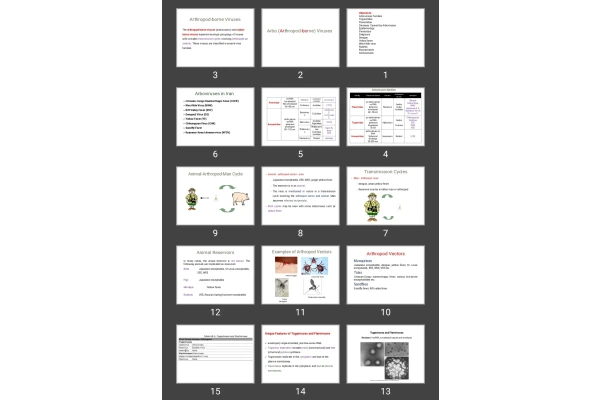 پاورپوینت Arbo (Arthropod-borne) Viruses