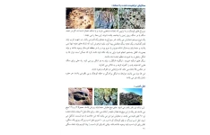 دانلود کتاب اسرار دفینه ها pdf کامل