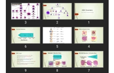 پاورپوینت WBC Disorders