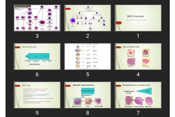 پاورپوینت WBC Disorders