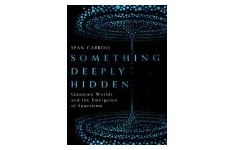 Something Deeply Hidden: Quantum Worlds and the Emergence of Spacetime-کتاب انگلیسی