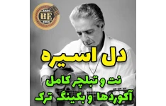 آهنگ دل اسیره با گیتار آکوردها نت و تبلچر و بکینگ ترک