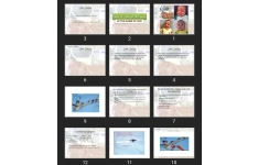 پاورپوینت Umbilical cord Blood Gases analysis