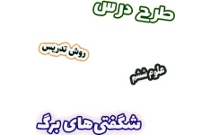 طرح درس و روش تدریس علوم ششم، درس11: شگفتی های برگ