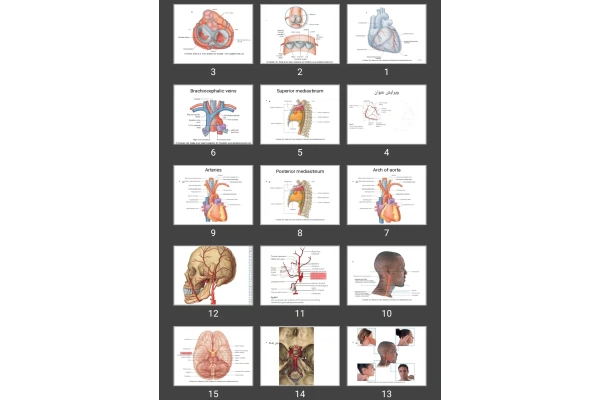 پاورپوینت 2 Circulatory System