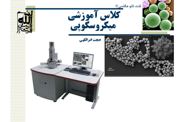 کارگاه آموزشي میکروسکوپی (SEM، EDX, AFM, TEM)