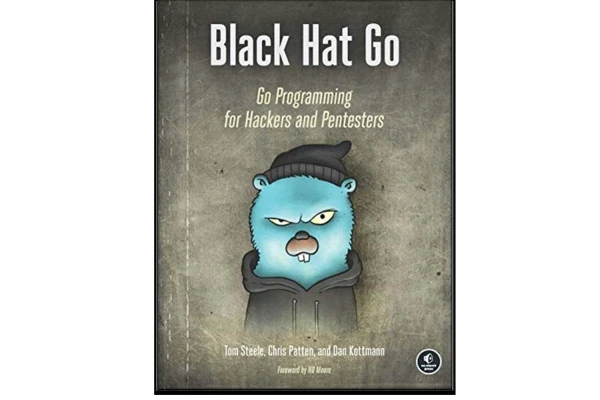   pdf کامل کتاب Black Hat Go: Go Programming For Hackers and Pentesters