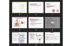 پاورپوینت Anemia Chapter 33