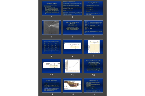 پاورپوینت membrane potential
