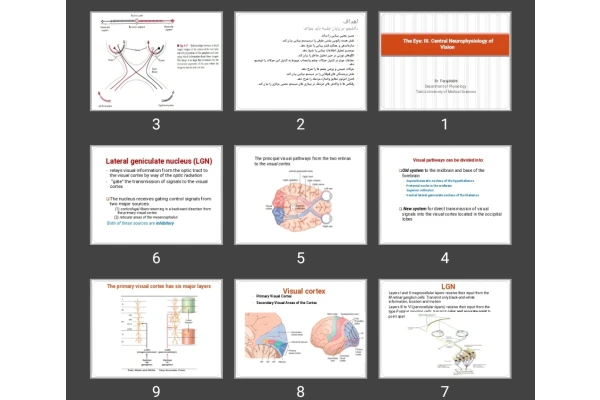 پاورپوینت The Eye: III. Central Neurophysiology of Vision