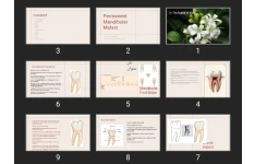 پاورپوینت Permanent Mandibular Molars