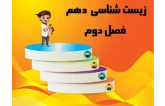 پاورپوینت زیست دهم رشته تجربی فصل دوم گوارش وجذب مواد از صفحه17 تا 32