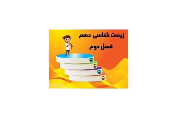 پاورپوینت زیست دهم رشته تجربی فصل دوم گوارش وجذب مواد از صفحه17 تا 32
