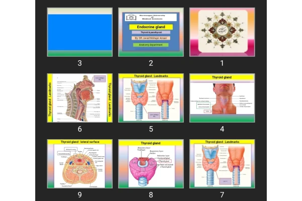 پاورپوینت Endocrine gland Thyroid & parathyroid