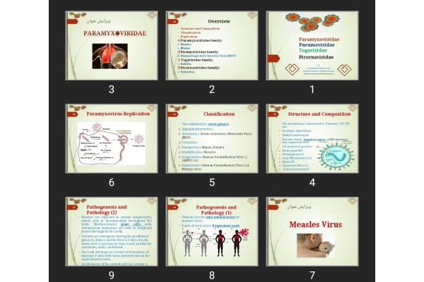 پاورپوینت Paramyxoviridae، Pneumoviridae، Picornaviridae، Togaviridae