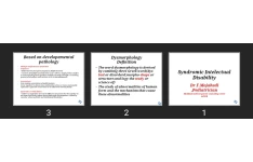 پاورپوینت Syndromic Intelectual Disability