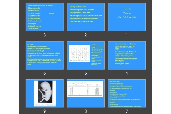 پاورپوینت دوره فتال هفته نهم تا زمان تولد fetal period