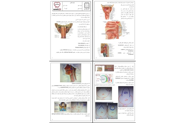 جزوه حلق ۱