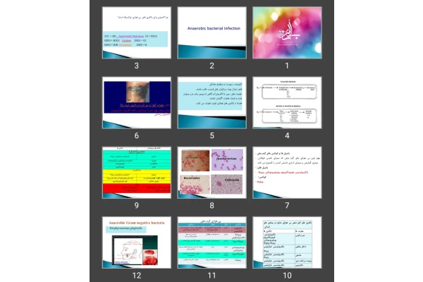 پاورپوینت anaerobic bacteria