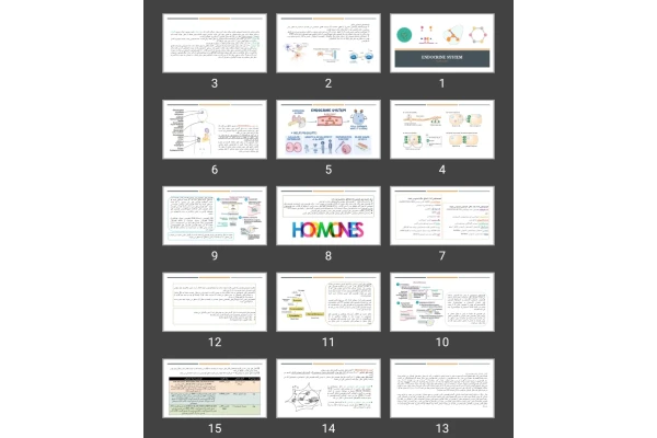 پاورپوینت Endocrine system