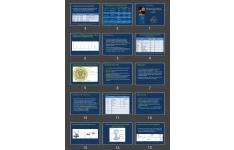 پاورپوینت orthomyxoviridae