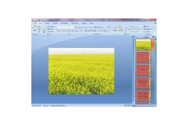 دانلود پاورپوینت کلزا (توسعه و مدیریت)