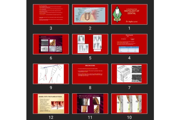 پاورپوینت HISTOLOGY OF DENTAL