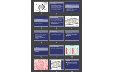 پاورپوینت STRUCTURE AND FUNCTION OF JOINTS AND CONNECTIVE TISSUE