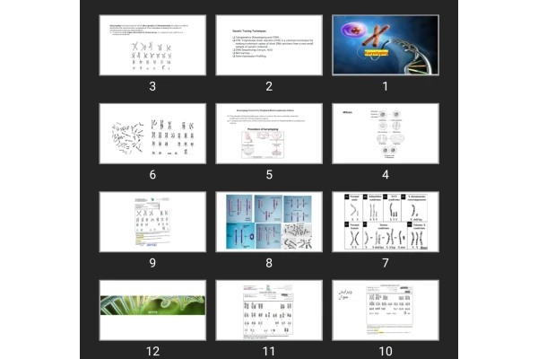 پاورپوینت Karyotyping