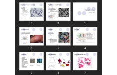 پاورپوینت Staphylococcus