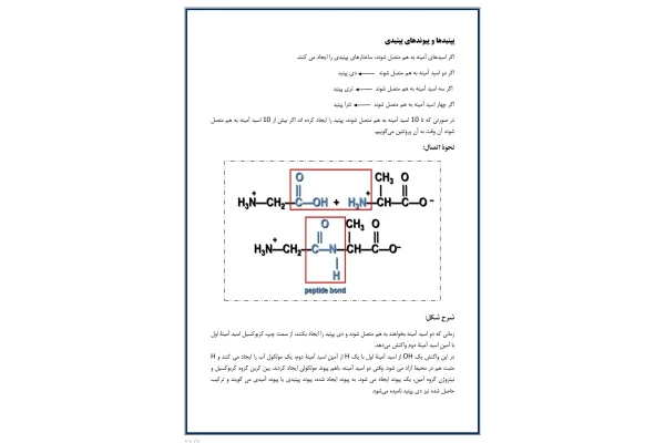 جزوه بیوشیمی آمینواسیدها