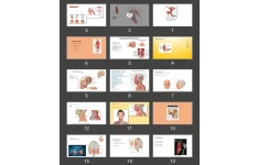 پاورپوینت Muscular system