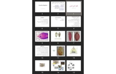 پاورپوینت ترماتودها دستیاری پزشکی