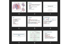 پاورپوینت Pulmonary HTN
