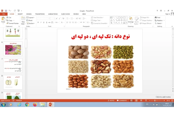 پاورپوینت درس دوازدهم علوم تجربی چهارم گوناگونی گیاهان